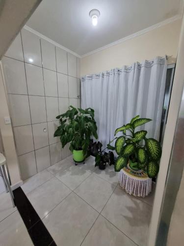 a bathroom with two potted plants and a shower at Casa Verde in Holambra