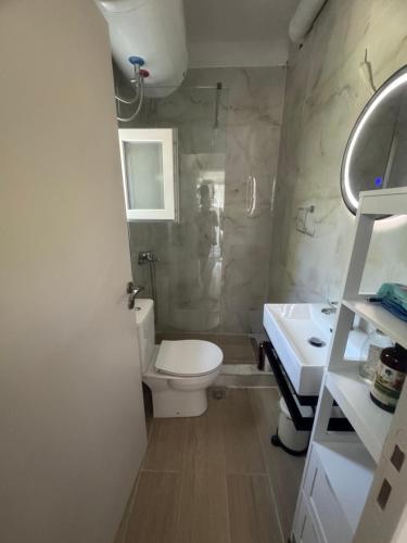 a bathroom with a toilet and a sink at Eleni's Home in Katokhí
