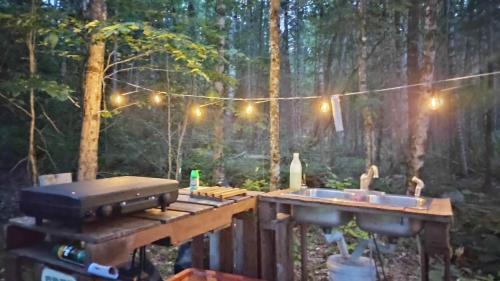 Κήπος έξω από το Schlafman's Hollow Off-Grid Cabins