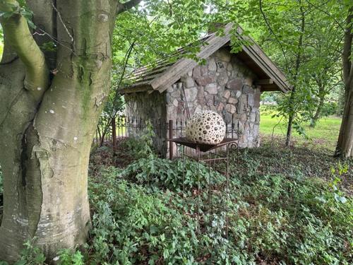 Κήπος έξω από το Ferienwohnung im Reetdachhaus Hallerhus