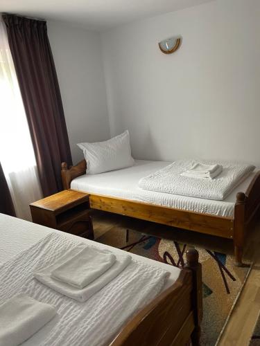 a room with two twin beds and a window at Pensiunea Delia in Izlaz