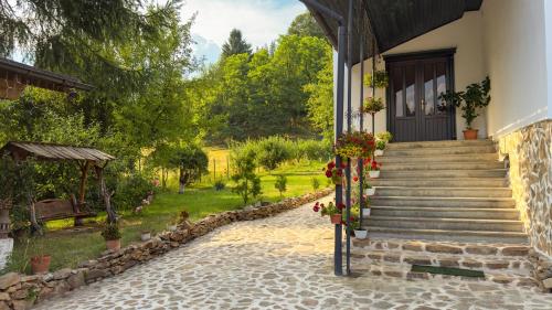 a house with stairs and a door and a yard at Locul cu Amintiri in Albac
