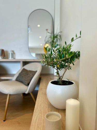a room with a table with a plant and a chair at Rea Boutique Hotel in Himare