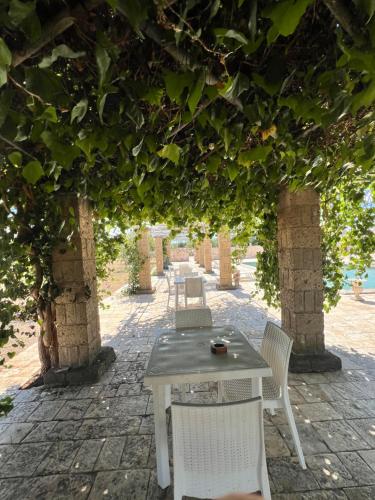 a table and chairs sitting under a tree at Bed & breakfast vecchia vallata in Gioia del Colle