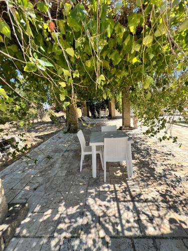 a table and two chairs sitting under a tree at Bed & breakfast vecchia vallata in Gioia del Colle