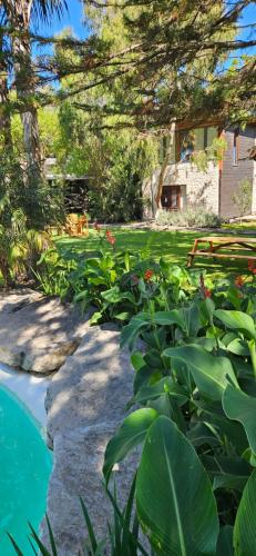 a garden with a swimming pool and some plants at Complejo Aramis Chapadmalal in Chapadmalal