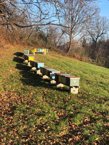 a row of benches sitting in the middle of a field at Il Baco Da Seta in Manta