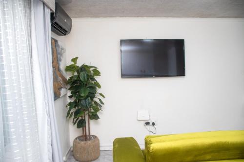 a living room with a green couch and a tv at Optimum Stay Self Catering Accommodation - Junior Suite in Parow