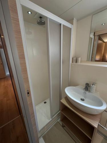 un bagno bianco con lavandino e doccia di Mobile Home RUŽMARIN a Sveti Juraj