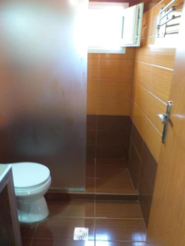 a bathroom with a toilet and a shower at ViLLA DRAGANI in Sikia