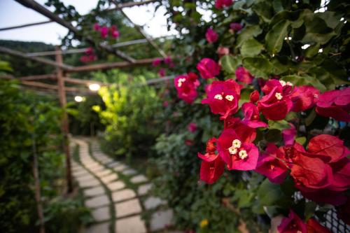 a garden with red flowers and a pathway at Casa Rosaria Amalfi Coast in Vietri sul Mare