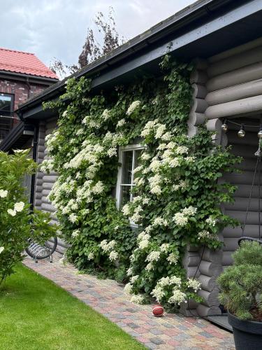 a house with white flowers on the side of it at Rasos Vila in Palanga