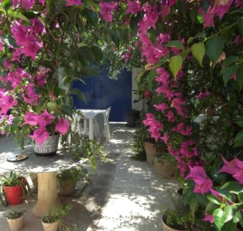 a garden with pink flowers and a table and a bunch of plants at The 18, Marsa Guest House in La Marsa