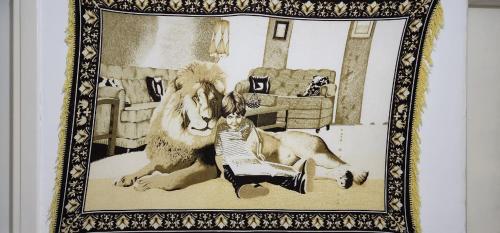 Imagen de la galería de Lion's rooms, en Vlorë