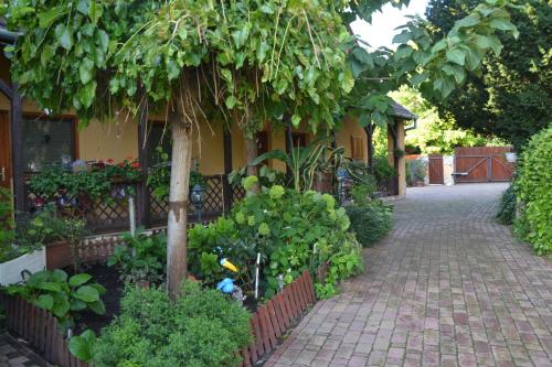 a garden with a tree and a brick walkway at Katica Vendégház in Siófok