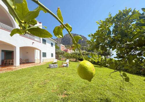 a large lemon hanging from a tree in a yard at Solemar Sicilia - Ville Paradiso in Santa Flavia