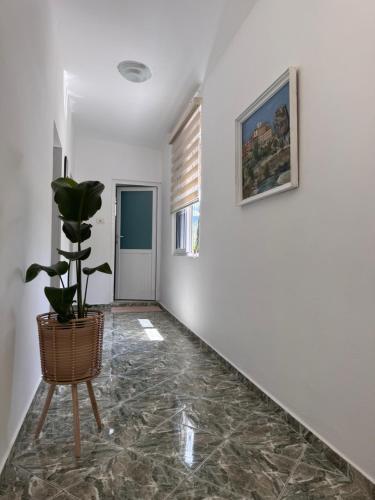 a hallway with a potted plant and a picture at Villa Adams in Përmet