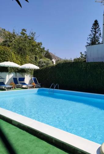 a swimming pool with blue water in a yard at Villa Dafne in Forio d'Ischia