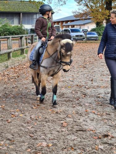 a young girl is riding on a horse at Ferienwohnungen Georgenbruch in Everswinkel