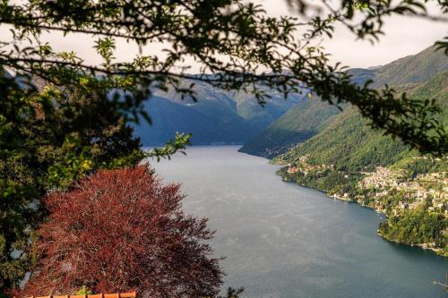 a view of a river with a town and mountains at Green Molina in Faggeto Lario 