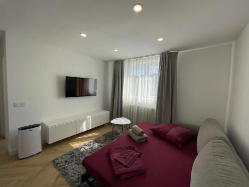 Televisyen dan/atau pusat hiburan di APARTAMENT ULTRACENTRAL,PARCARE PRIVATA,WiFi