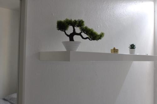 a small tree sitting on a white shelf at Bayamon Metro City View in Bayamon