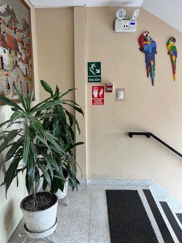 Fotografie z fotogalerie ubytování Hotel SKY v destinaci Lima