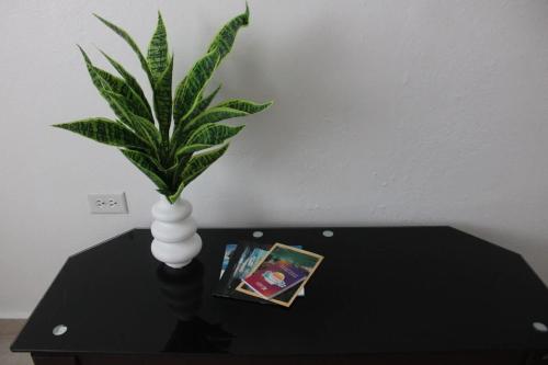 a green plant in a white vase on a table at Bayamon Metro City View in Bayamon