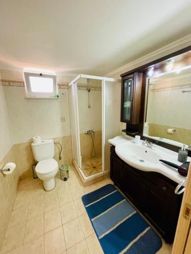 Mersini Apartment