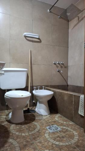 a bathroom with a toilet and a bath tub at Duquesa Valentina Hotel in Salta