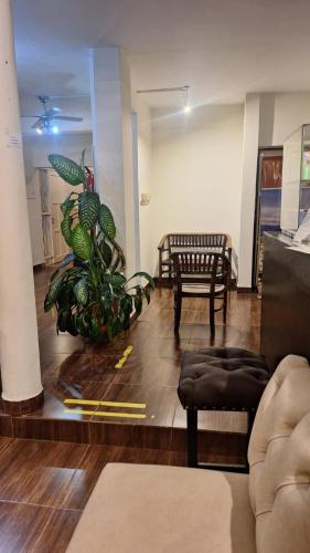 a living room with a bench and a plant at Duquesa Valentina Hotel in Salta