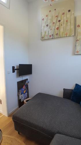 TV a/nebo společenská místnost v ubytování Tiny Haus C235 Wacholderdrossel