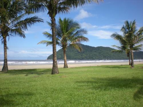 a group of palm trees on a beach at Pousada Vila da Praia in Bertioga