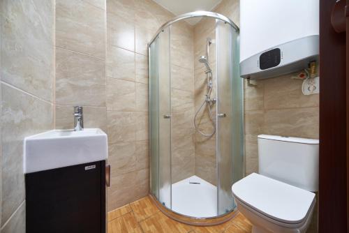a bathroom with a shower and a toilet at Penzion Zajíček in Zaječí