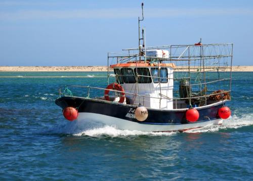 a small boat in the water on the ocean at Moinhos das Marés in Fuzeta