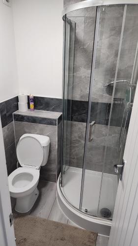 a bathroom with a toilet and a shower at Luxurious ensuite rooms in Basildon