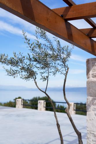 a small tree in front of a building at Queen Bee Luxury Villa- Sparto in Spartos