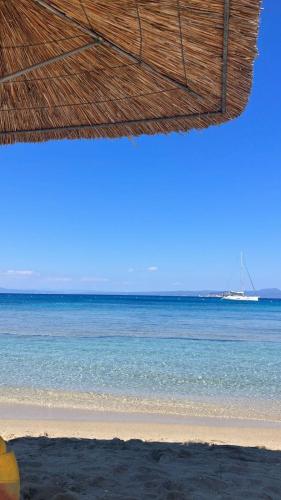 Gallery image of sea forever in Paliouri