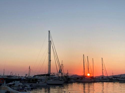 Gallery image of sea forever in Paliouri
