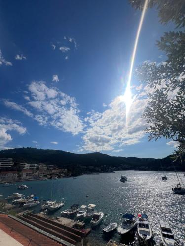 a view of a harbor with boats in the water at Korcula Apartment direkt am Meer -Zrnovska banja -2,5 km zur Altstadt Korcula in Korčula