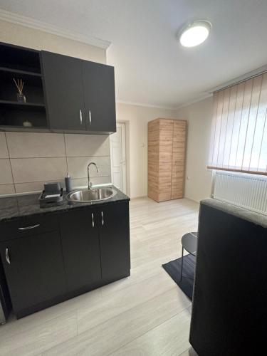 a kitchen with black cabinets and a sink at Sobe Tanja in Subotica