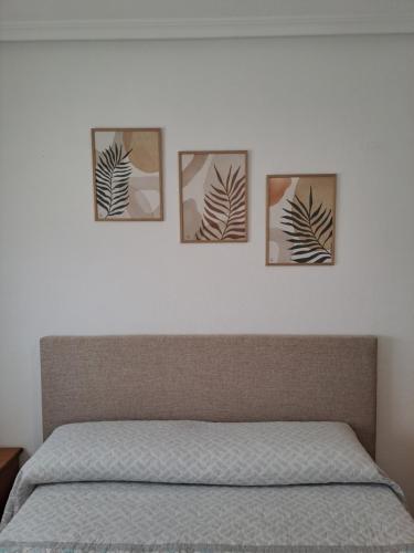 four pictures on a wall above a bed at Arenales Beach in Arenales del Sol