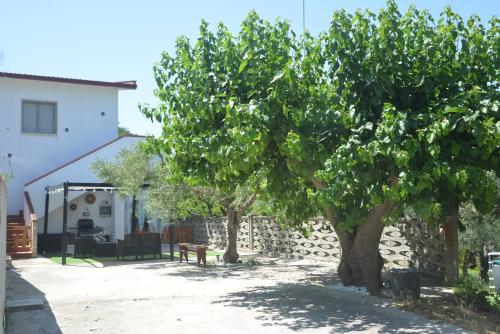 two trees in a yard next to a building at Villino Anna e Pippino in Calatafimi