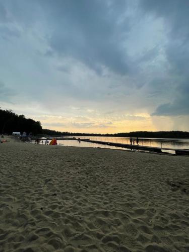 a sandy beach with a pier and people in the water at Domek na Morenowym Wzgórzu, nad jeziorem in Mierzyn
