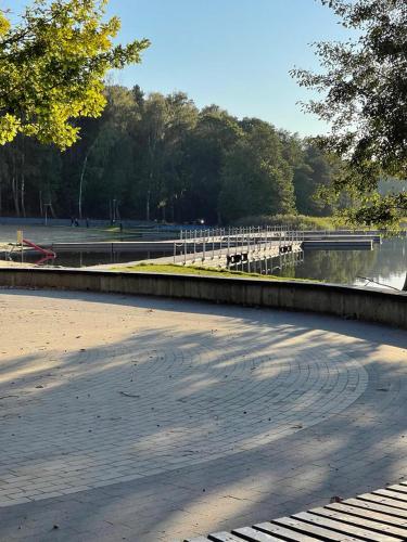 a park with a body of water and trees at Domek na Morenowym Wzgórzu, nad jeziorem in Mierzyn