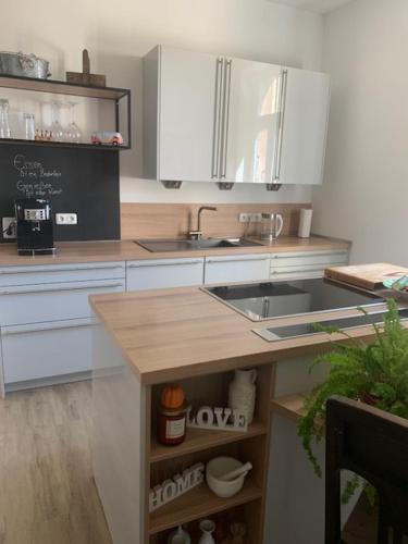 a kitchen with a sink and a counter top at Große Ferienwohnung in einer Villa im Grünen in Neustadt am Kulm