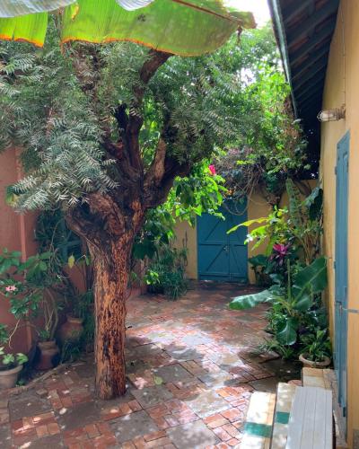 Κήπος έξω από το Ker-Marina Gorée, Dakar