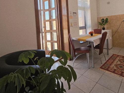 a living room with a table and a plant at Apartment Zarnesti City Centre VMP Free Parking in Zărneşti