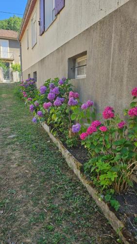 Une rangée de fleurs violettes à côté d'un bâtiment dans l'établissement Maison hortensia, au Cheylard