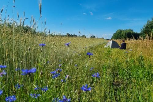 a man sitting in a field next to a tent at Pole namiotowe Chesterfield in Komorów